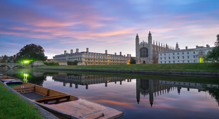 BRAIN POWER AND CAMBRIDGE UNIVERSITY