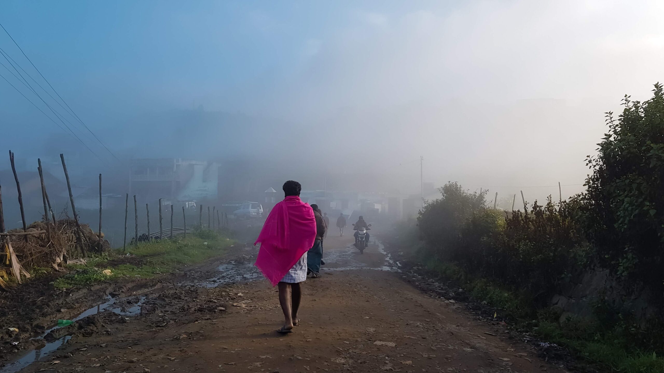 Nothing Succeeds like Success