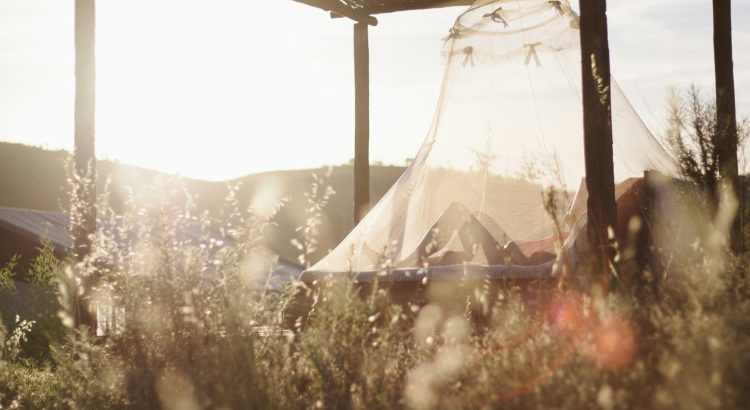 Sunlit campsite with a sheer tent canopy draped between wooden posts and tall grasses in the foreground