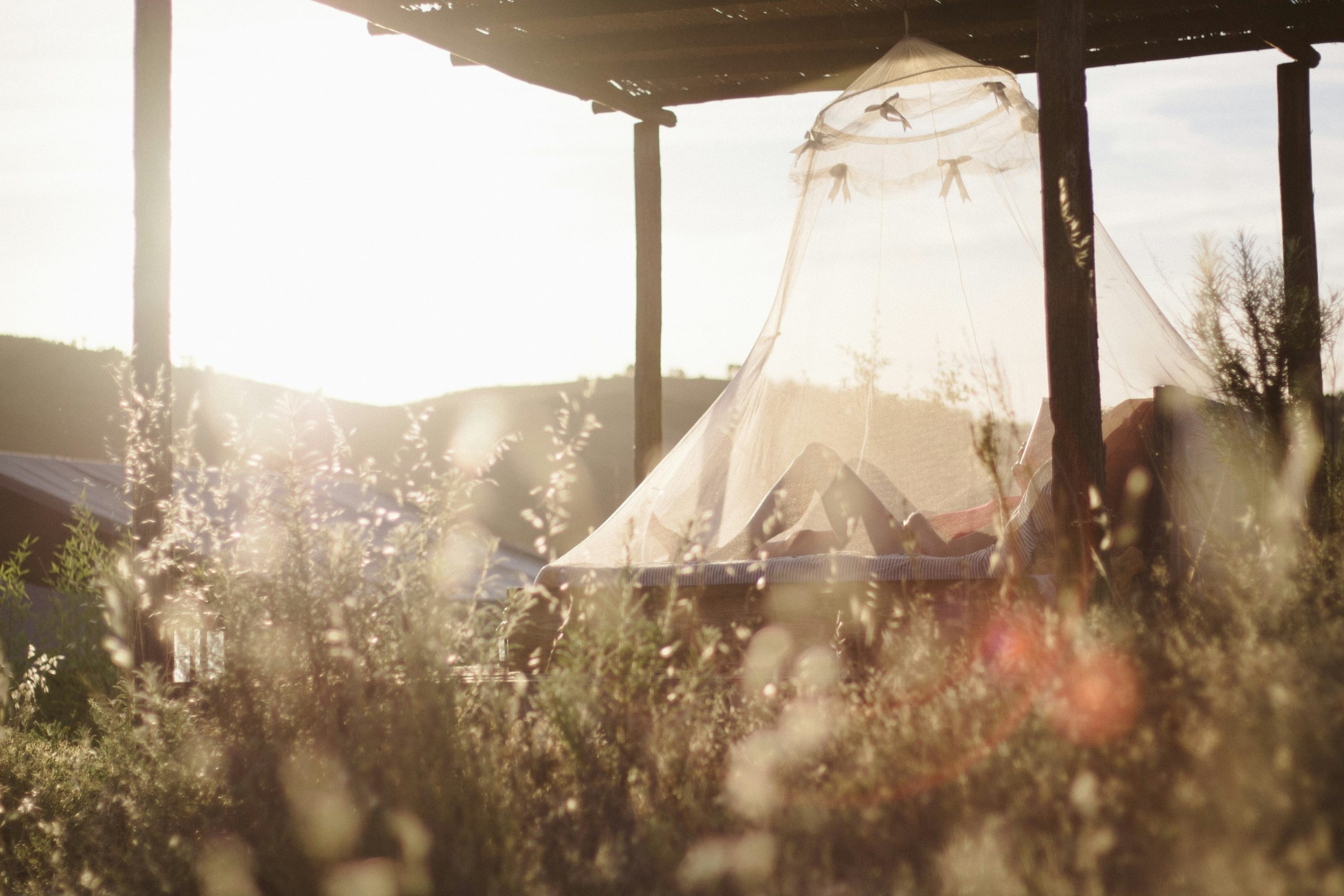Sunlit campsite with a sheer tent canopy draped between wooden posts and tall grasses in the foreground